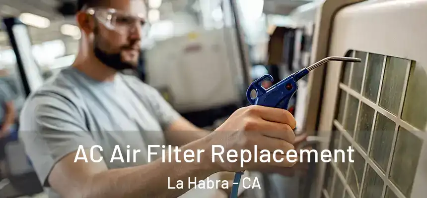  AC Air Filter Replacement La Habra - CA