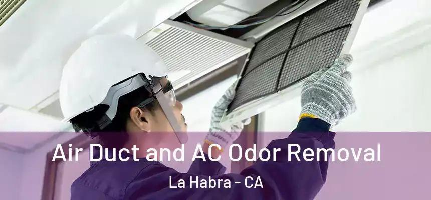 Air Duct and AC Odor Removal La Habra - CA