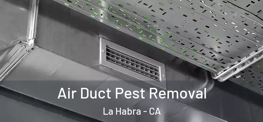 Air Duct Pest Removal La Habra - CA