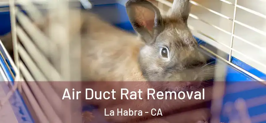 Air Duct Rat Removal La Habra - CA