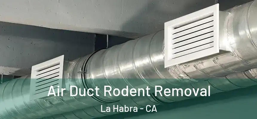  Air Duct Rodent Removal La Habra - CA
