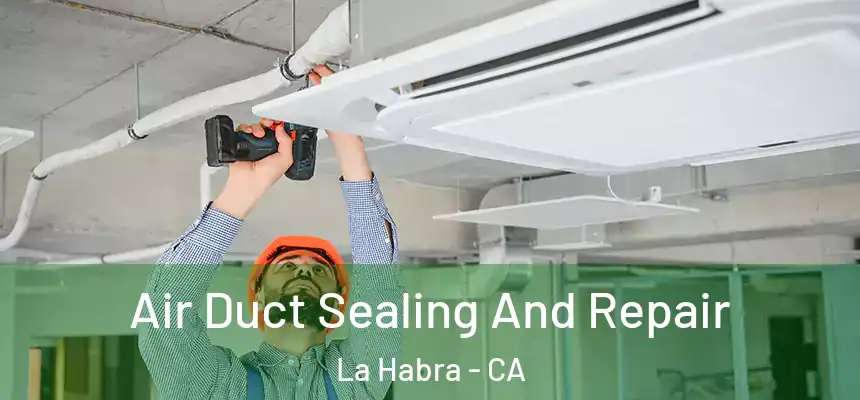 Air Duct Sealing And Repair La Habra - CA