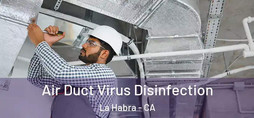  Air Duct Virus Disinfection La Habra - CA