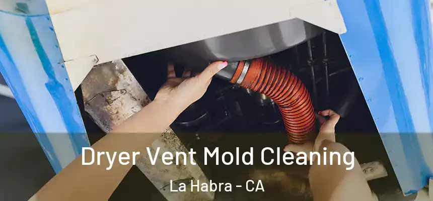 Dryer Vent Mold Cleaning La Habra - CA