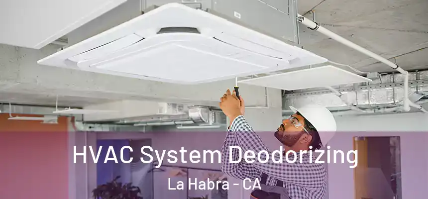 HVAC System Deodorizing La Habra - CA