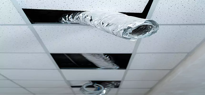 Affordable HVAC Sanitizing After Pest Removal in La Habra