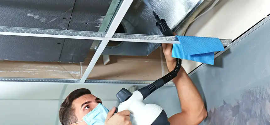 Our Air Duct Rodent Removal Services in La Habra, CA