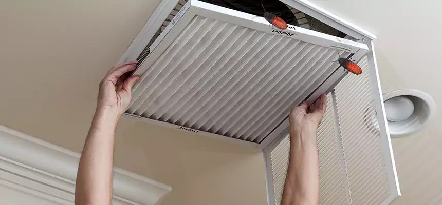 Our Insect Removal from Air Ducts Services in La Habra, CA