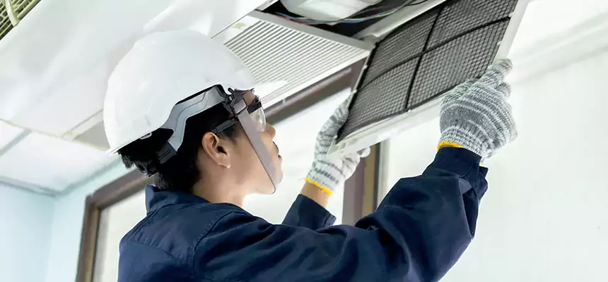 Our Mold & Mildew Removal from Air Ducts Services in La Habra, CA