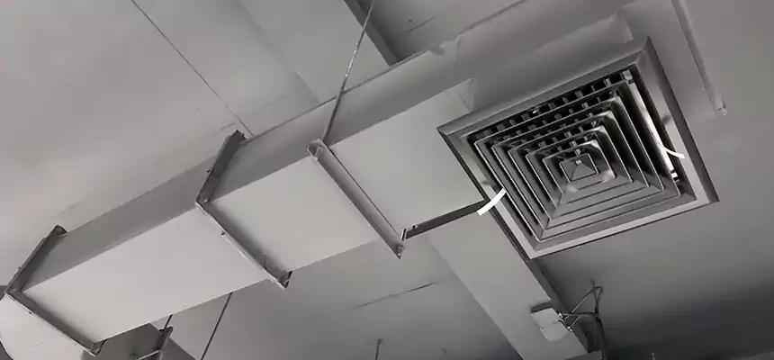 Our Pest Removal From Ducts Services in La Habra, CA