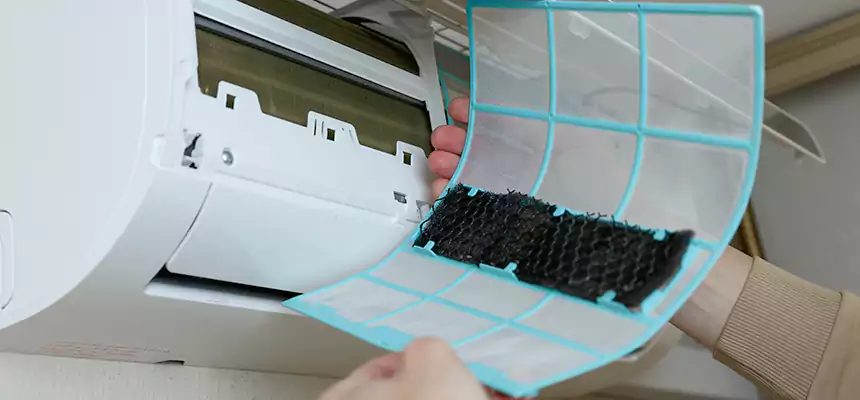 Gentle Ductwork Odor-Control Pet Dander Duct Cleaning in La Habra, CA