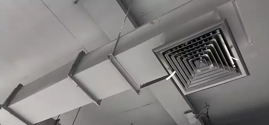 Our Rodent Droppings In Vents Services in La Habra, CA