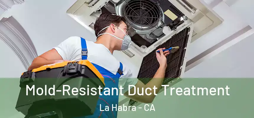 Mold-Resistant Duct Treatment La Habra - CA