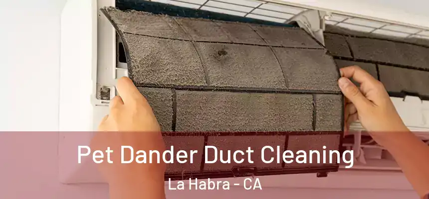 Pet Dander Duct Cleaning La Habra - CA