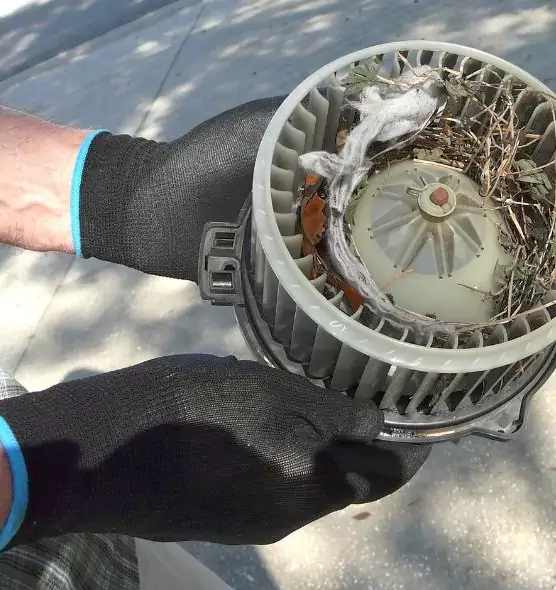 About Air Duct Rat Removal in La Habra, CA