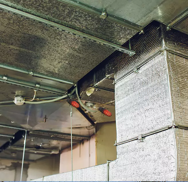 Why Homeowners & Businesses Trust Us in La Habra, CA?