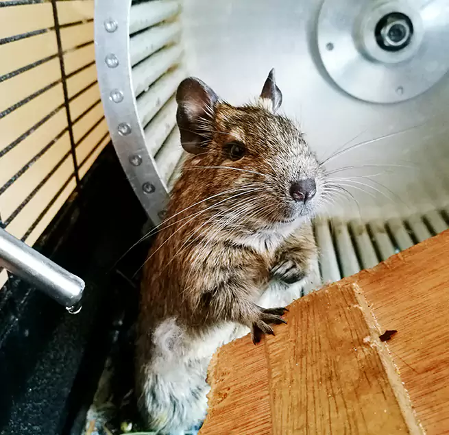 Why Homeowners & Businesses Trust Us La Habra, CA